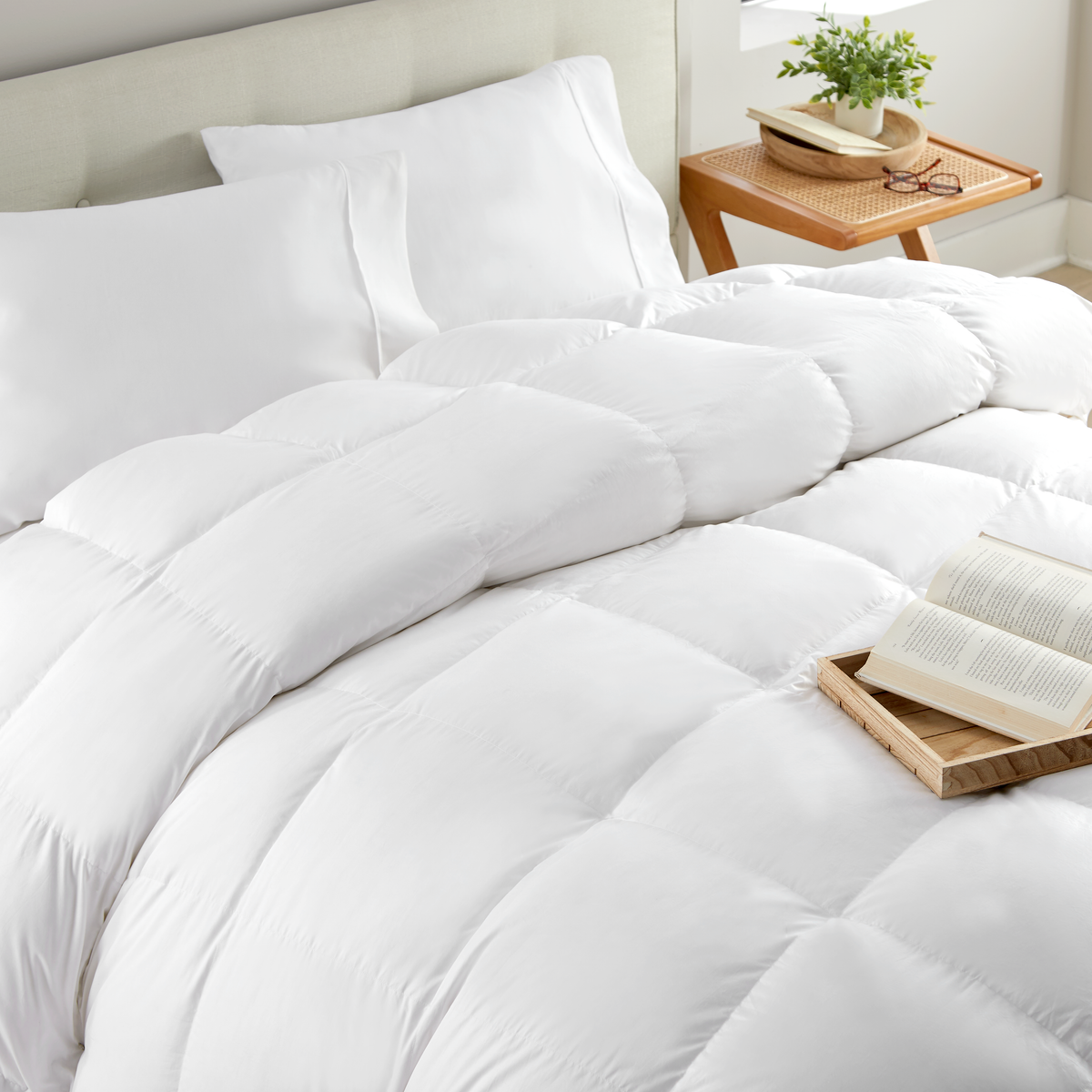 Celeste Down Comforter