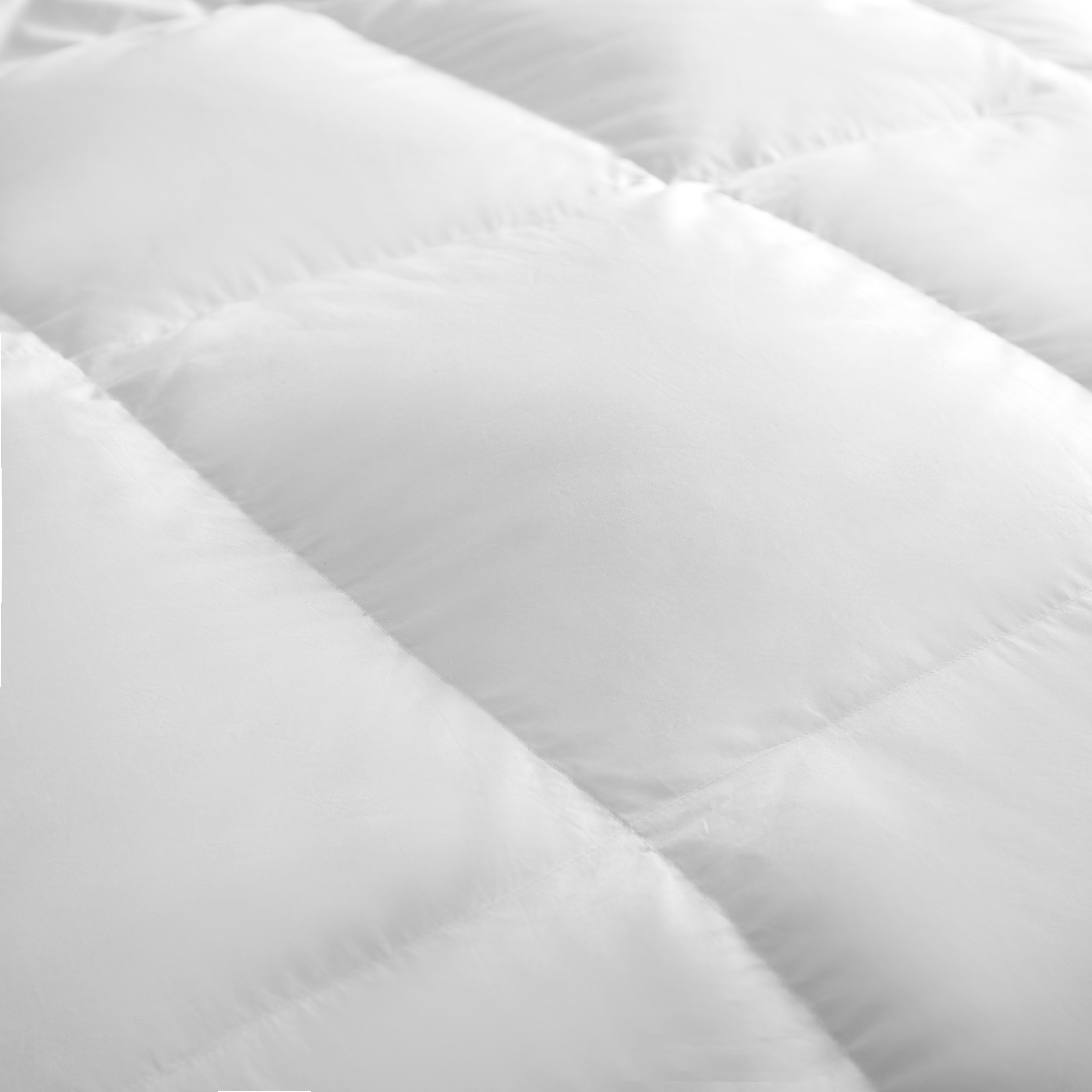 Celeste Down Comforter